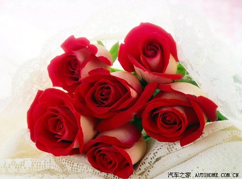 ֮