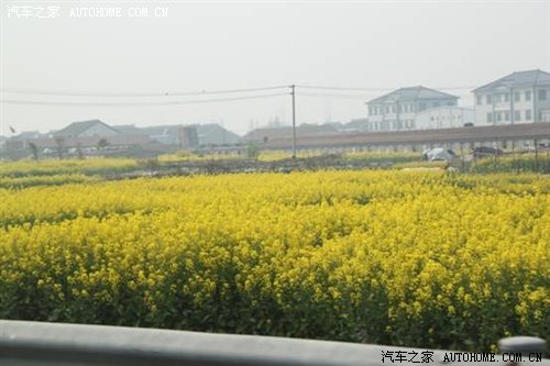 ֮