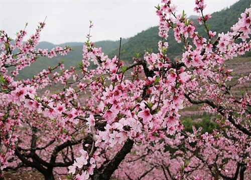 ֮