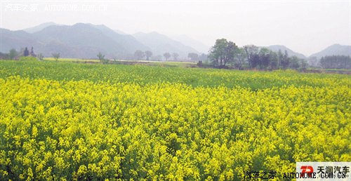 ֮
