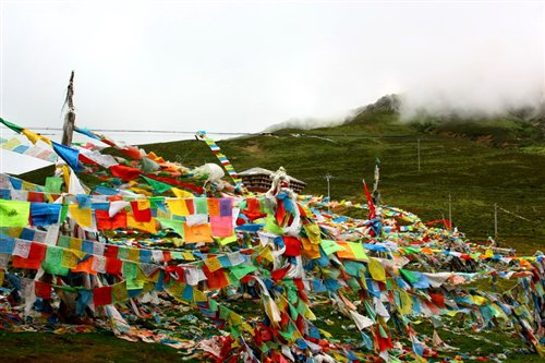 ֮