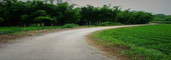 ֮
