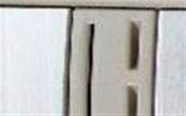 ֮