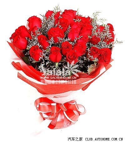 【图】09版西游记 青海湖--甘南--九寨沟之旅