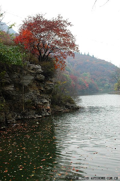 10月24日博山鎮門峪西廂村自駕遊賞紅葉