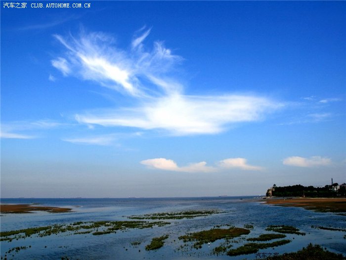 唐海湿地风光