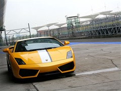 ֮  Gallardo 2010 LP550-2
